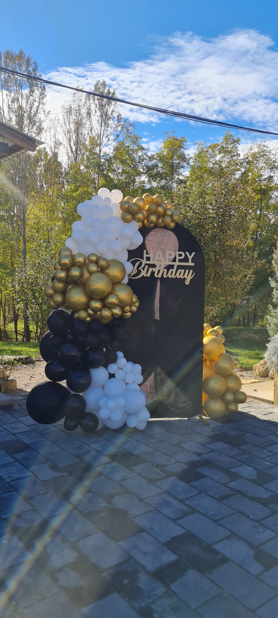 Petrecere aniversare Valcea - decoratiuni cu baloane la Vila Fane Pietrari